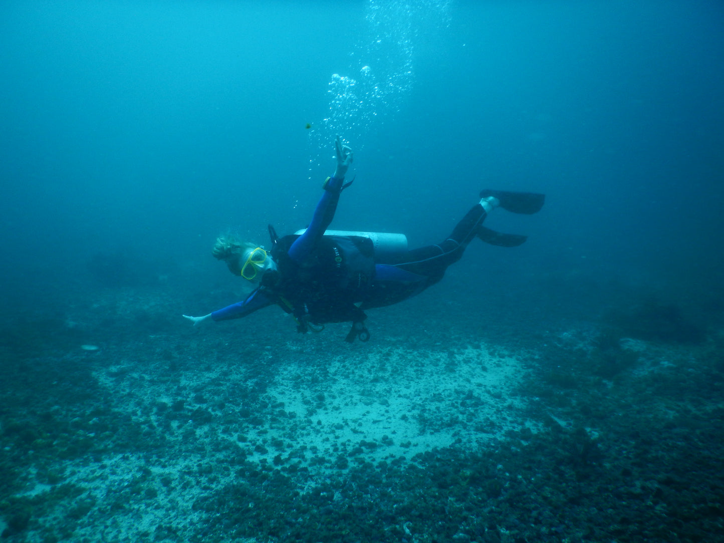 Scuba Diving (Joiner)