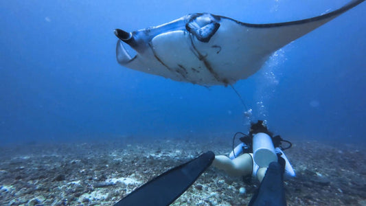 Scuba Diving (Joiner)