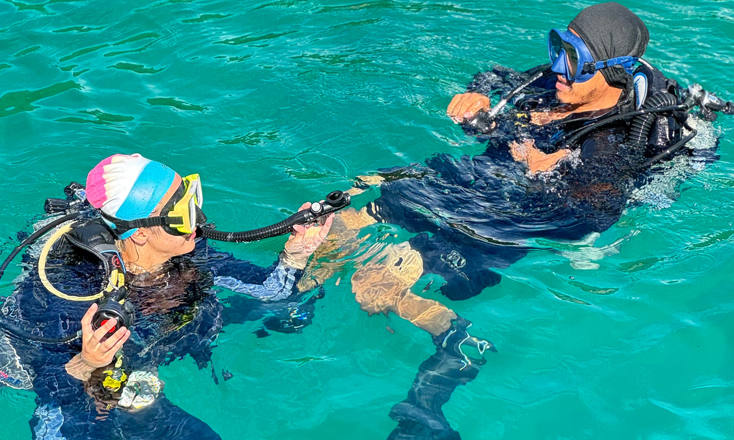 Dive & Hop (Divers)