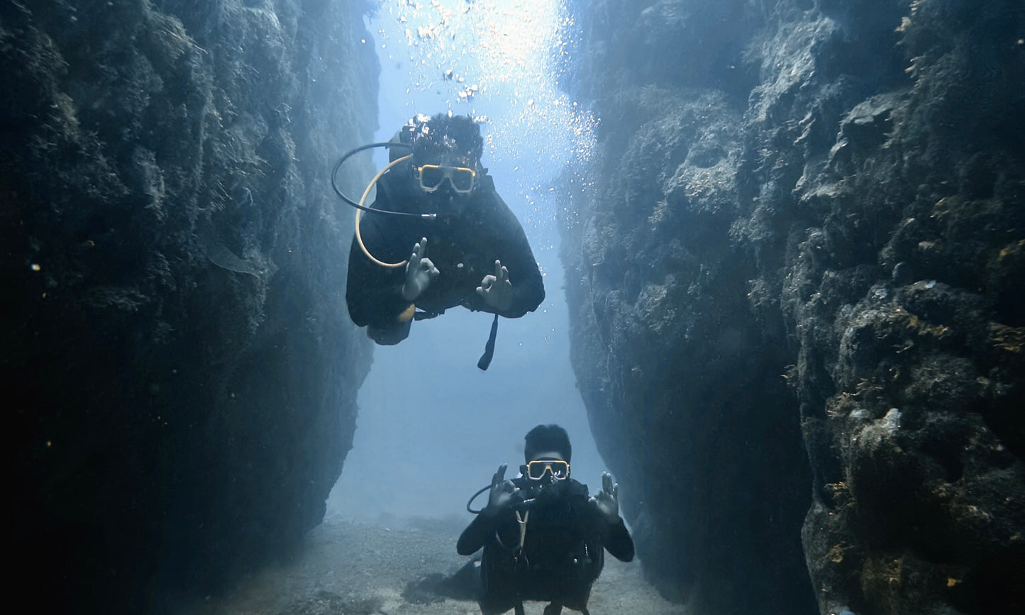 Dive & Hop (Divers)